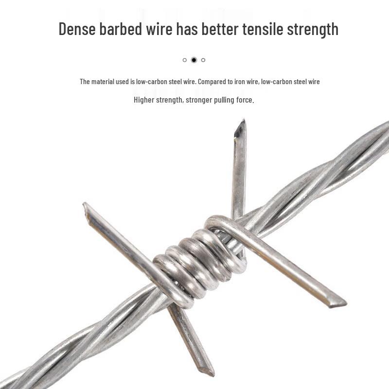 Anti-Climb Hot-Dip Galvanized Barbed Wire