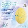 PairLab Artificial Sponge for Commercial Use pieces Sanitary New Material as an Alternative to Traditional High Economical (10 total) Supplies,