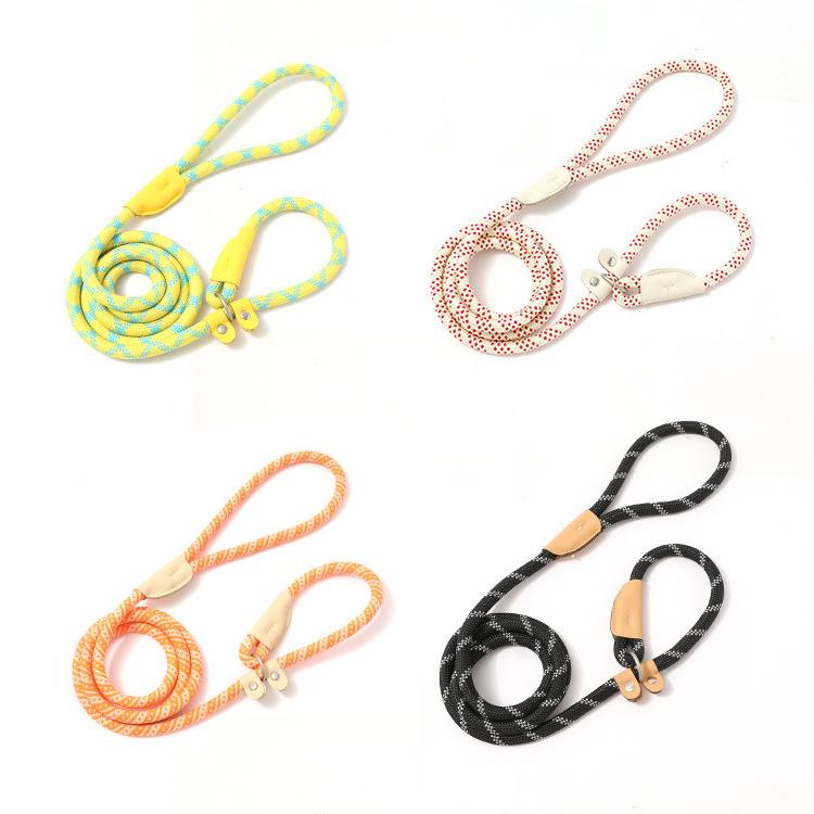 All-in-one Design Dog Leash Collar Set for Small Medium Dogs, Durable Braided Rope Slip Lead Pet Training Leash