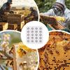 1 Stück Wachskönigin Pfropfbecher Silikonform 20 Löcher Manuelle Imkerei Bienenwachs Königinnenzellenbecher Herstellungsform Imkereiwerkzeug
