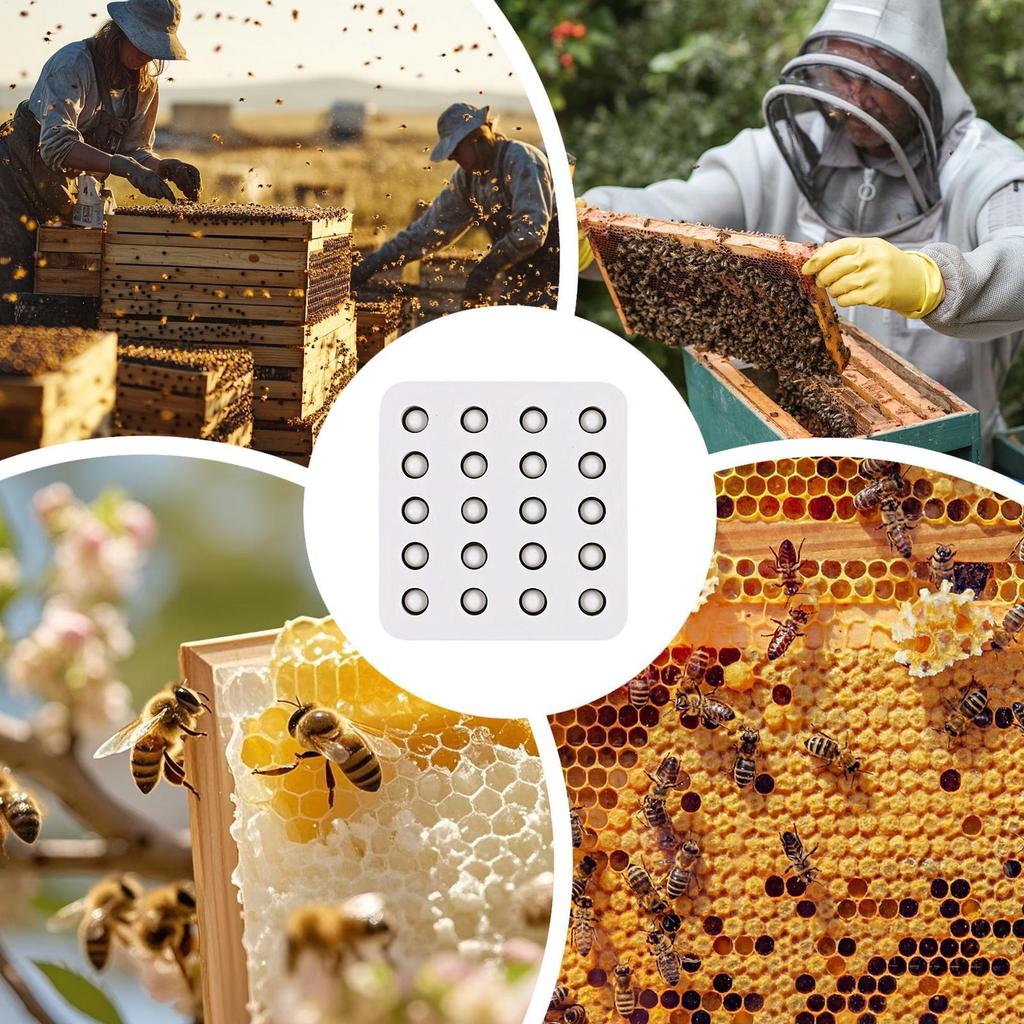 1 Stück Wachskönigin Pfropfbecher Silikonform 20 Löcher Manuelle Imkerei Bienenwachs Königinnenzellenbecher Herstellungsform Imkereiwerkzeug