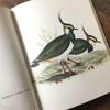 [USED] Foreign books, German bird guides, old books, vintage books