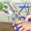 Garden scissors manual pruning SK5 suitable for pruning bonsai fruit tree branches pruning pruning gardening tools 8/10 inches