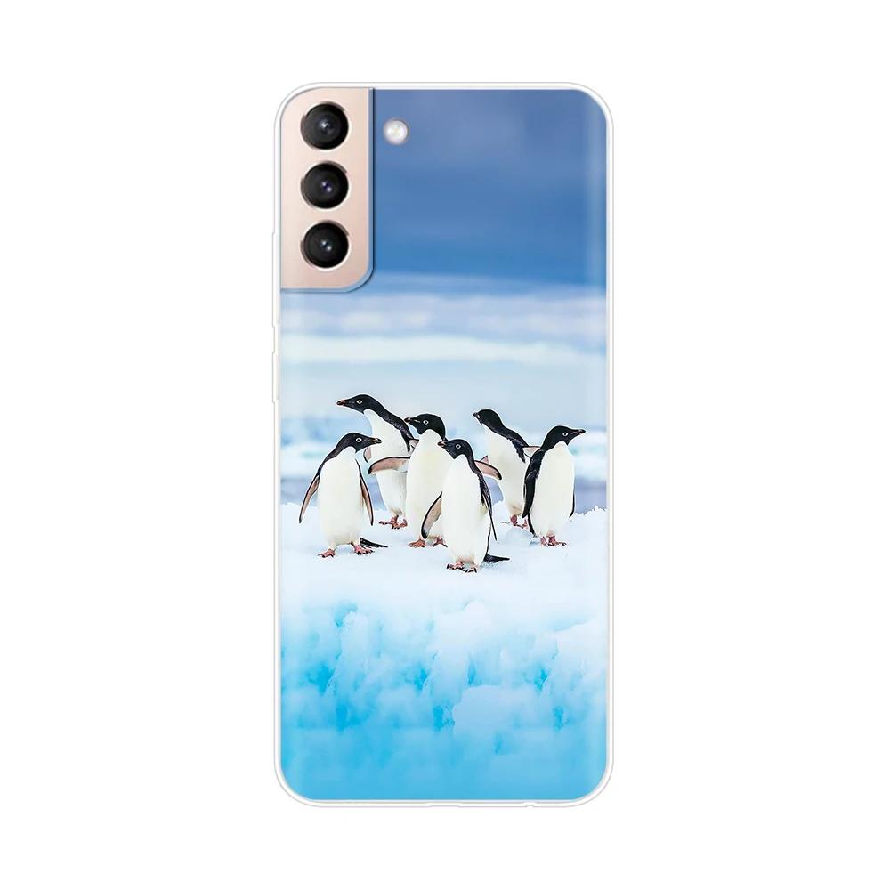 Mobile Phone Bag Case For Samsung Galaxy S21 Silicone Back Cover For Samsung S21 plus s 21 GalaxyS21 S21 FE S21Ultra Cases Capas
