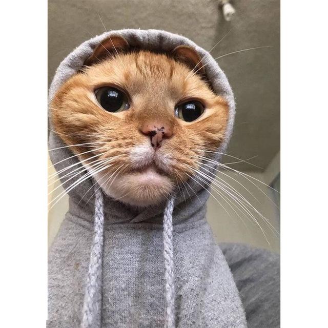 5D Diy Diamond Painting Fox Square/Round Diamond Embroidery Animal Cross Stitch Kit Rhinestone Mosaic Home Decoration