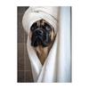 Cute Shower Dog Bathroom Decor Poster Dog in Bathtub Print Animal Murals Canvas  for Home Decor Dog Lover Gifts