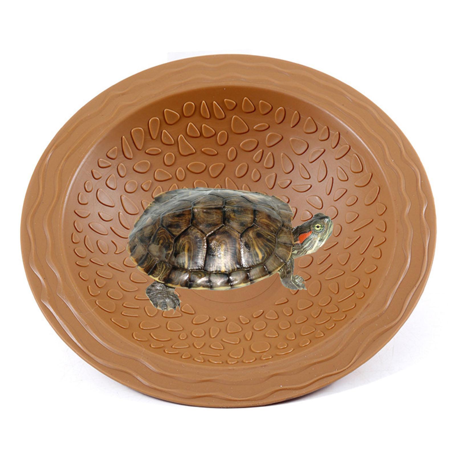

Water Dish for Turtles, Bathing Pool for Reptiles, Feeding Bowl for Chameleons