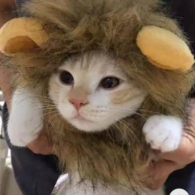 Yousheng Lion Mane Wig for Dogs Fuzzy Pet Headgear with Ears Pet Dress-up Costume Plush Cat Hood for Halloween Christmas Party