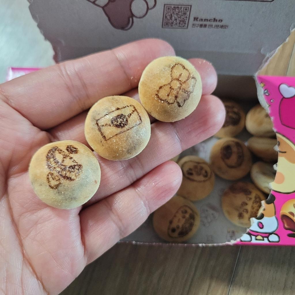 Lotte Kancho Choco Biscuit