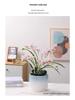 Luxury White Ceramic Hanging Flower Pot Set for Orchids and Money Trees in Living Room