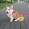 Pet Collar with Zinc Alloy Buckle M Size Harness (Width 2.5cm Neck 38-57cm Chest 45-72cm) 120CM Leash 11*6CM Bow Set