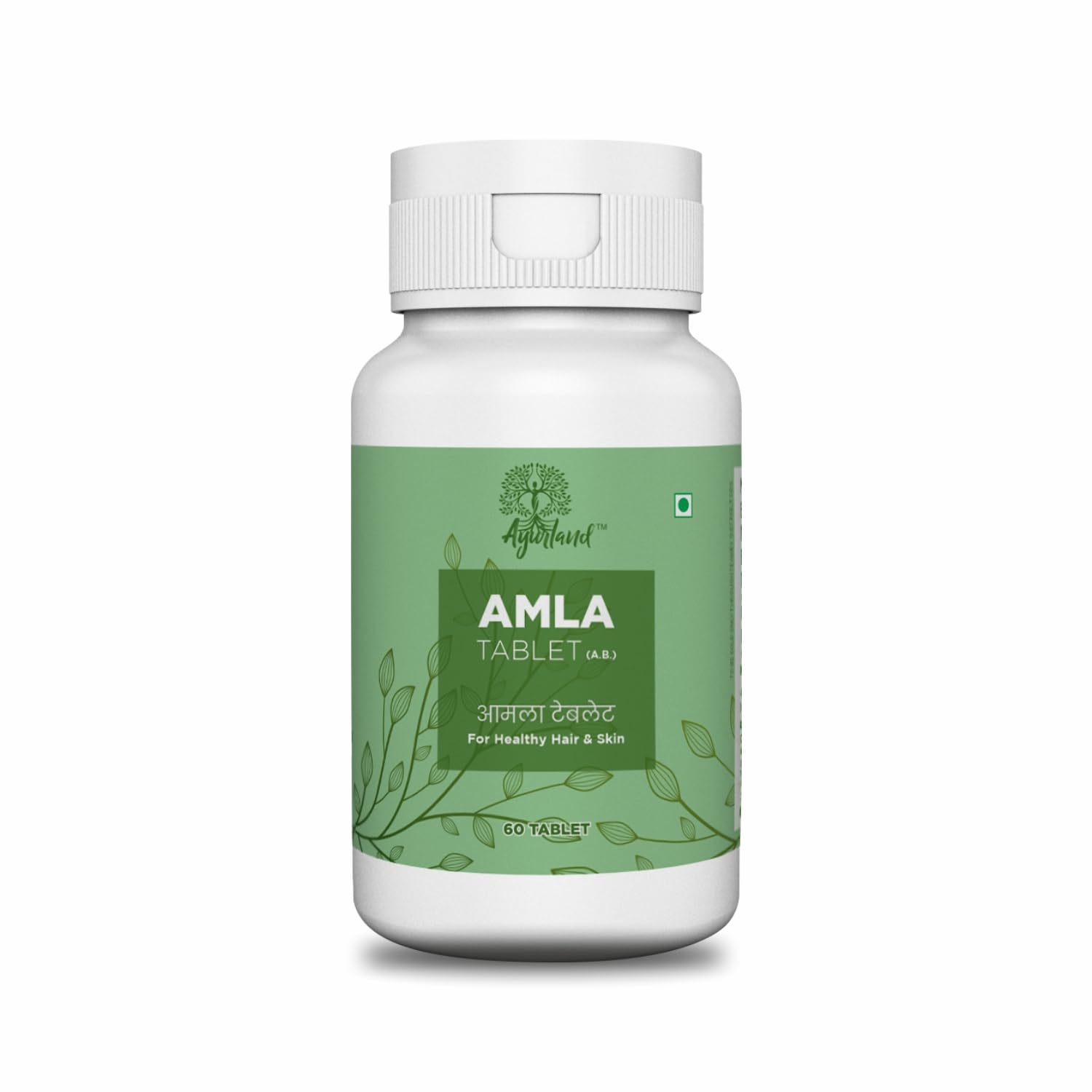

Ayurland Amla Tablets 100% Pure Indian Gooseberry For Immune Support | 60 Tablets, 100gm 0.2lbs