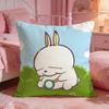 MMASHIMAROs Cute Cartoon Cushion Cover Premium Comfort Reversible Pillow Cove Two In One Design For Any Room  Car Interior