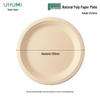 Youhe Youmi 9-inch Biodegradable Sugarcane Pulp Plates