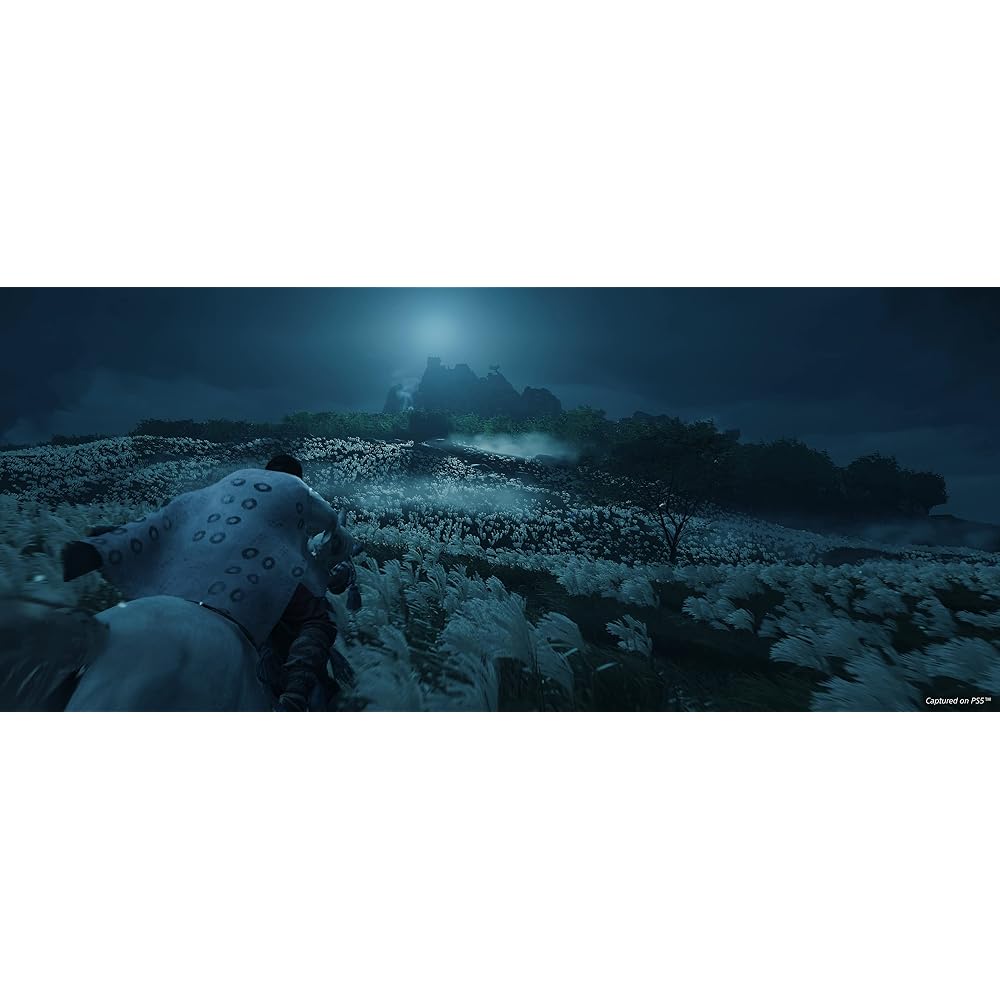 Ghost of Tsushima Director's Cut (North America) - PS5