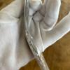 Used Titanium CITIZEN Exceed genuine belt EBG74-2791.2792 etc.