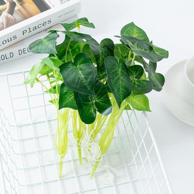 Przydatna symulacja zielonej rośliny, która nie wymaga podlewania. Łatwa w utrzymaniu. Dekoracyjna