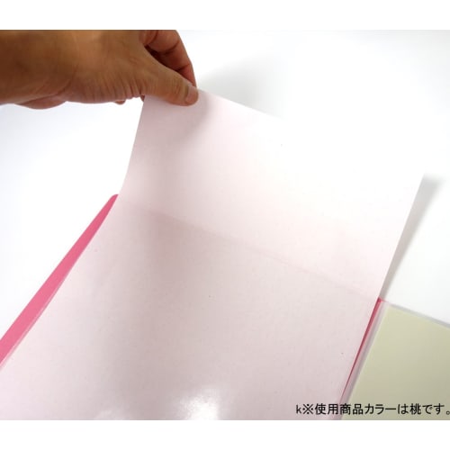 KOKUYO File Clear File POSITY A4 60 Sheets Light Blue P3-L60NLB