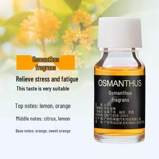 10ml Long-Lasting Car Fragrance Refill – Odor-Eliminating Essential Oil Additive