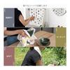 Bloom Gauze Towel Face Towel Set of 6 - Kokochiyo, Senshu Towel, Kitchen Towel, Thin, Quick Dry, Lightweight, Made In Japan, Assorted Designs