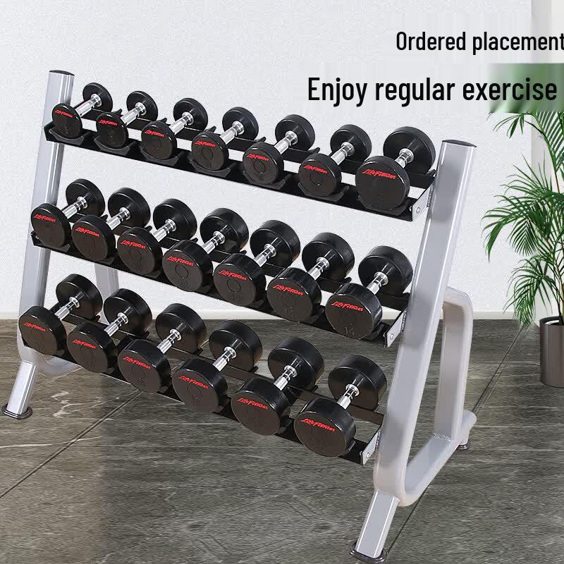Tiemucheng Commercial Double-Layer Dumbbell Storage Rack