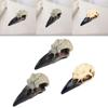 Halloween Raven Skull Decor Halloween Decor for Party Window Sill Home