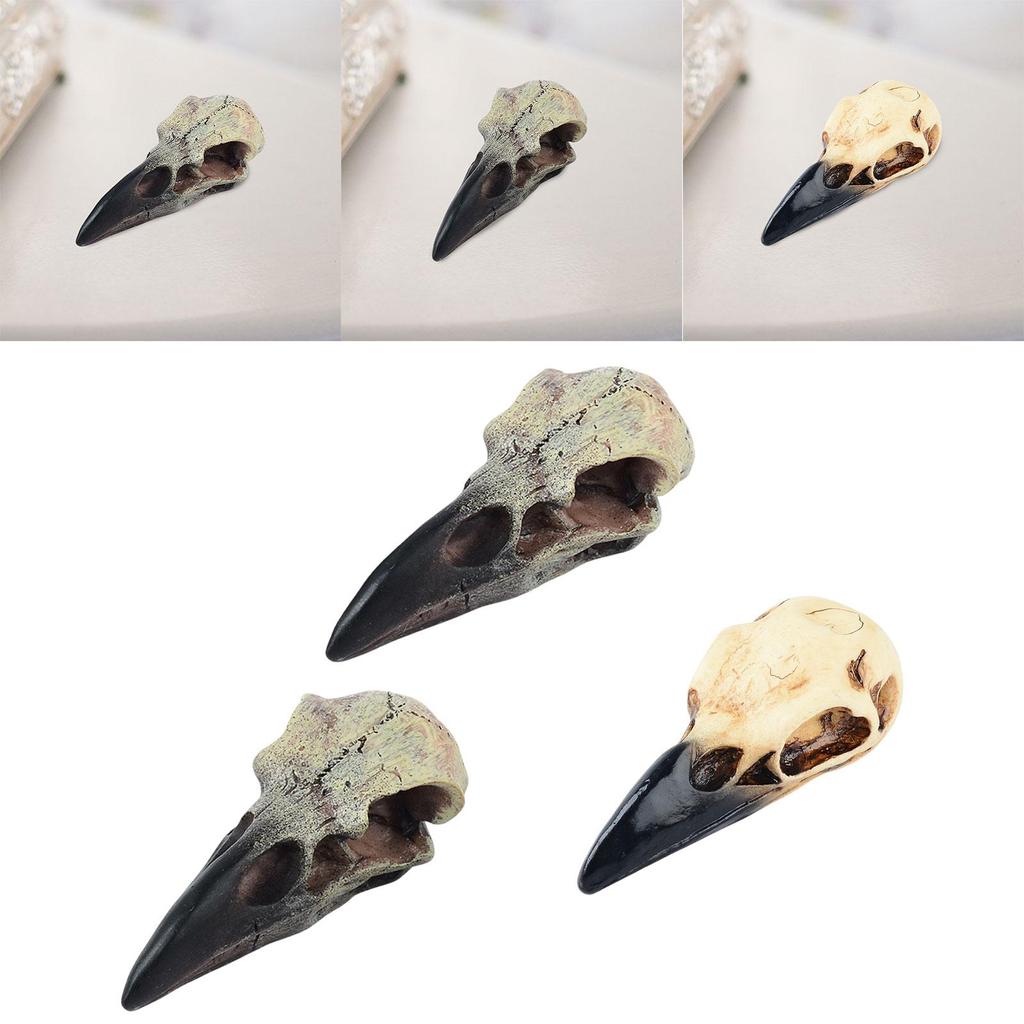Halloween Raven Skull Decor Halloween Decor for Party Window Sill Home