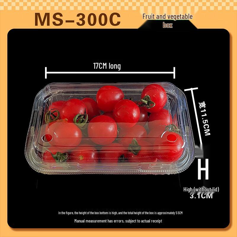 

Lantuan Disposable Transparent Food Containers with Lid