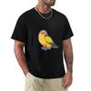 Sun Conure Tshirt Labor Work Casual Tshirt