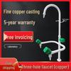 Qinyu All-Copper Wall-Mounted Lab Faucet (Hot & Cold)