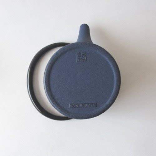 World Create Aihana Japanese Tableware Asahi Shikon Iron Teapot 10271