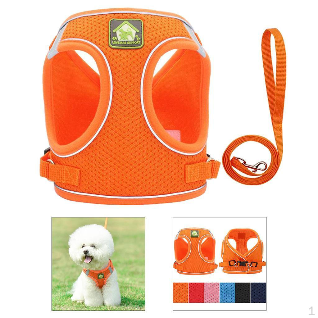 Mesh Dog Harness with Leash Padded for Small Dogs uygun fiyatlı satın
