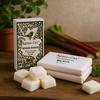 Rhubarb Soy Wax Melts, Box of 8