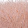 Feather1 Bundle Piume di Struzzo Naturali Filo Colorato 10-15/15-18CM Piumaggio Soffice Per Abiti Borsa Decorazione Artigianato Cucito