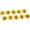 TOEI LIGHT Aktives Nummernschild B-6256, 23 cm Durchmesser x 3 mm Dicke