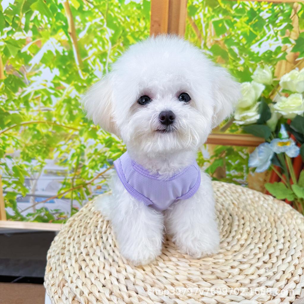 Summer dog reflective contrasting color matching outdoor sunscreen clothes cat vest cool clothes cooling pet clothes