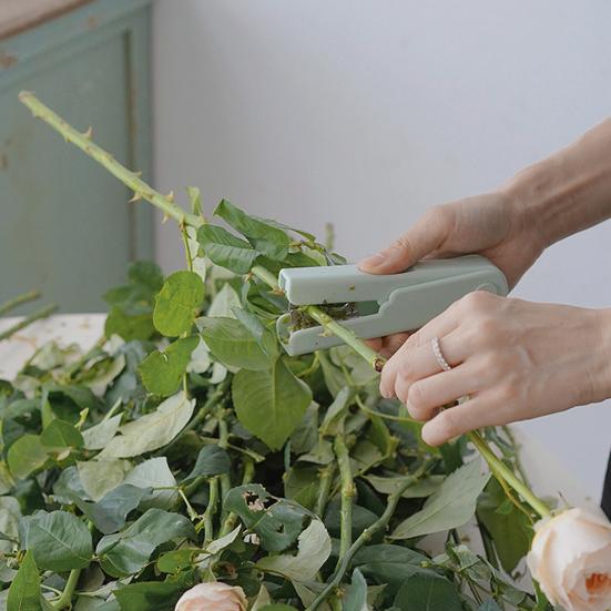 Rose Thorn Stripper Auto Buckle Finger Groove Portable Flower Stem Leaf Thorn Remover Pliers Gardening Supplies