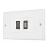Dual Port USB2.0 Wall Plate Panel for Home Office Building Hotel Decoration