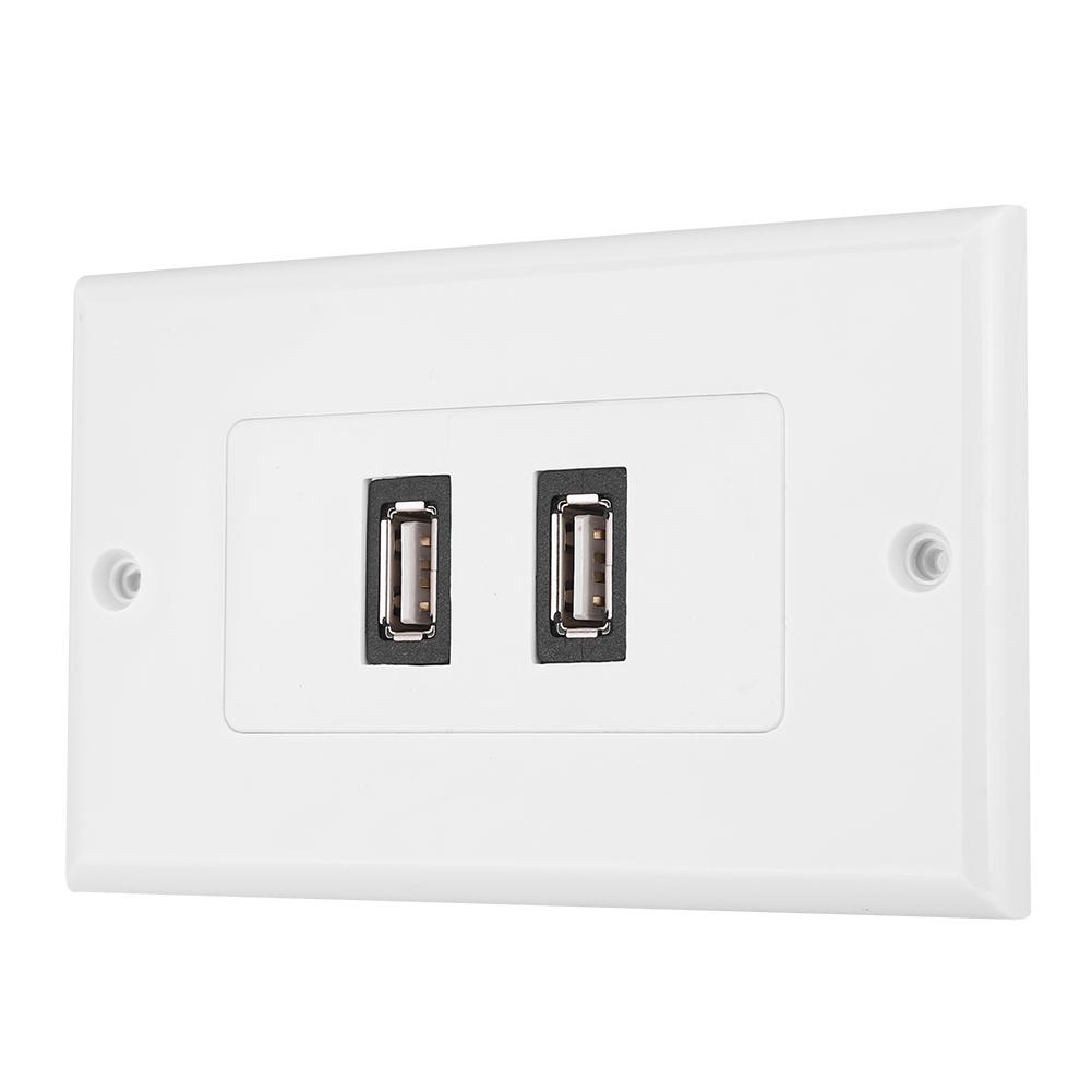 Dual Port USB2.0 Wall Plate Panel for Home Office Building Hotel Decoration