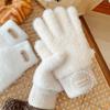 Thickened Knitted Gloves Cold-proof All Finger Mittens Fashion Five Finger Gloves  Men Women