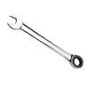 Berry Lion Fixed Head Ratchet & Ring Spanner