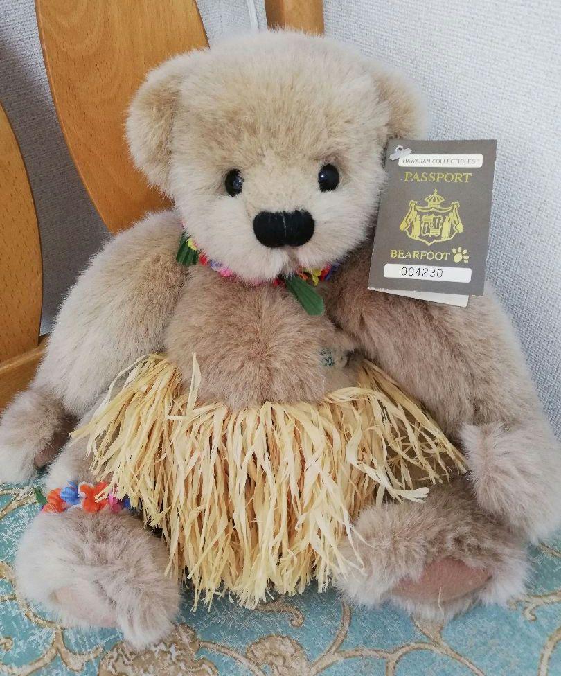 

[USED] Teddy Bear Hawaii