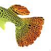 Artificial Fish Set for Aquatic Beauty
