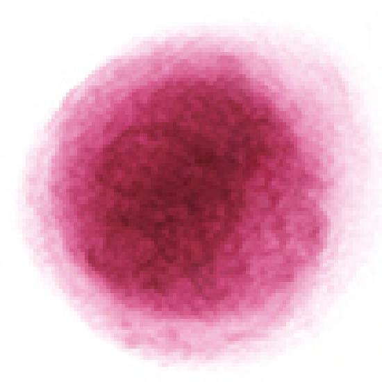 

FWEE Lip & Cheek Blurry Pudding Pot 35 Colors Single/Planned RD05 Greedy