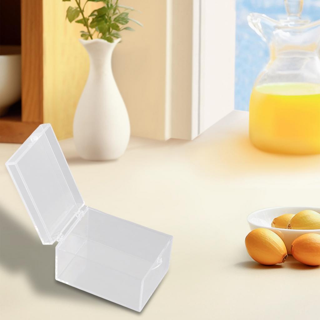 Desktop Storage Box for Insect Specimen Display Clear Plastic (65 characters)