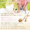 miwahouseki Initial A Pink Gold Alphabet Necklace with Your Choice of Birthstone [Miwahouseki] (November Citrine)