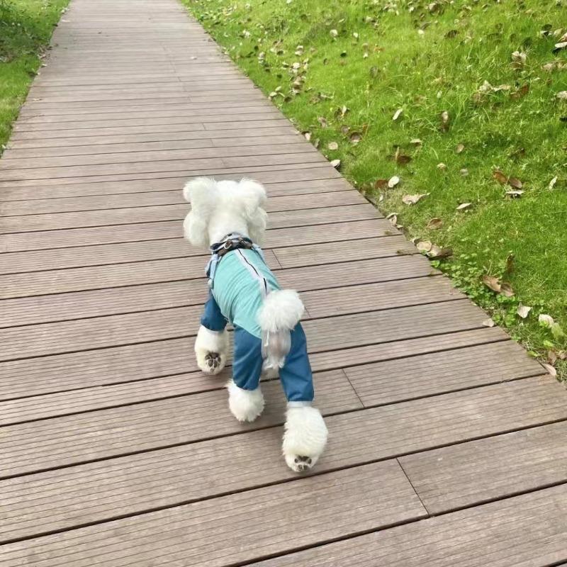 Dog clothes Teddy sunscreen cold four-legged cool shirt pet outdoor dust-proof and insect-proof than bear Schnauzer Marte