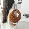 Fashi Quilted Shoulder Bags for Women Handbag Mini Cloud Pleated Bags Puffer Dumpling Bag Luxury Tote