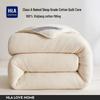 HLA Premium Xinjiang Baumwolle Winterdecke