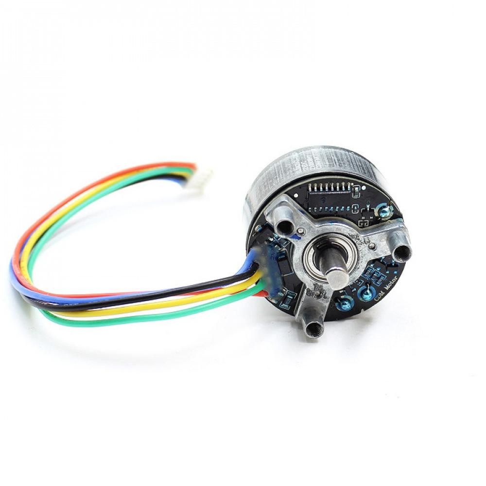 BL3825O-067 Outer Rotor Brushless Motor DC12V 3800RPM Support PWM Speed Control Forward Reverse 6mm D-Shaft Brushless Motor